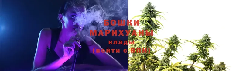 Бошки марихуана THC 21%  площадка наркотические препараты  Ставрополь 